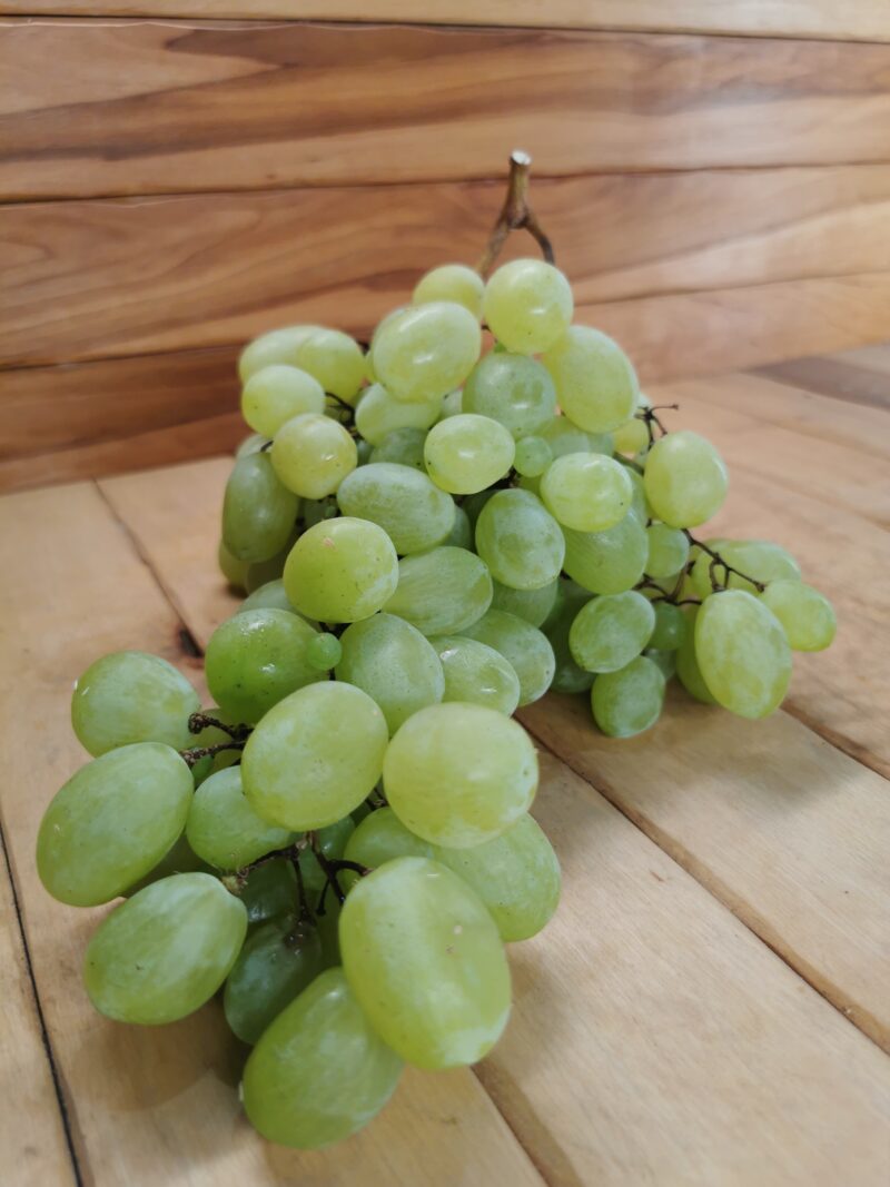 GROZDJE BELO