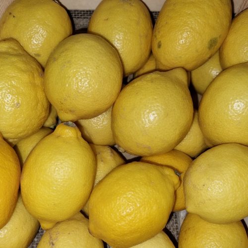 Limone Arg.