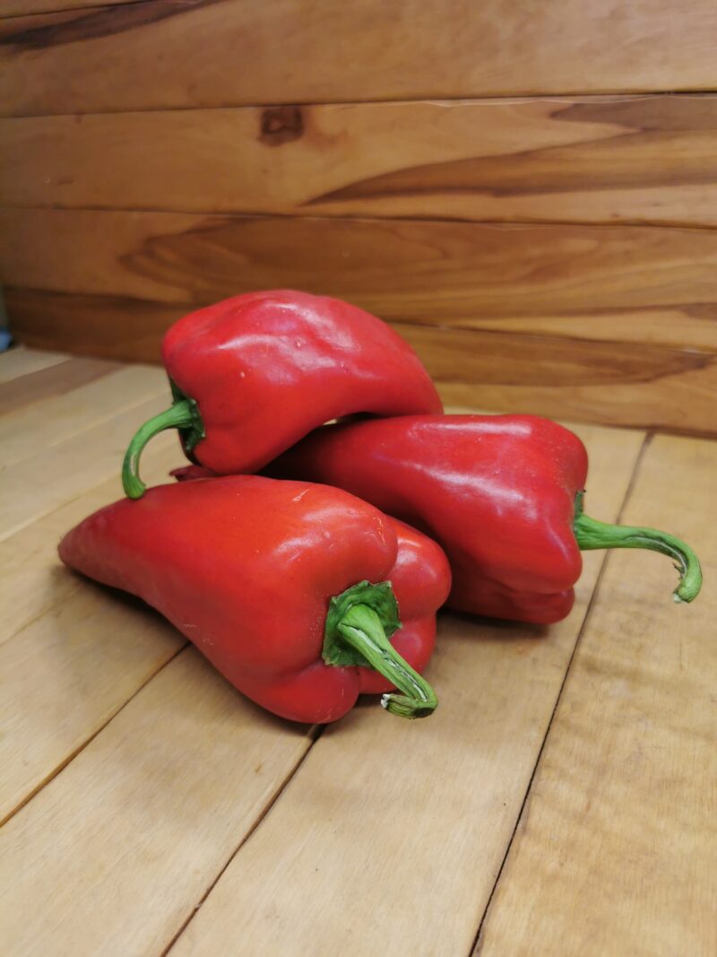 PAPRIKA RDEČA