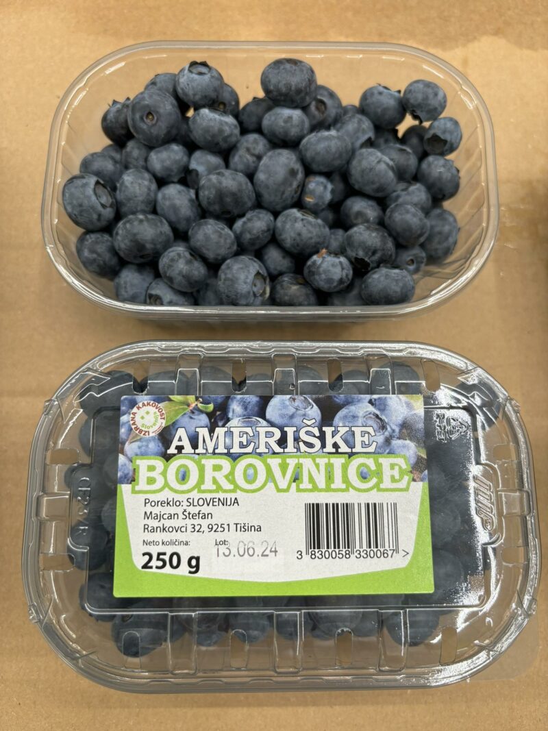 AMERIŠKE BOROVNICE 250 g. - Image 2
