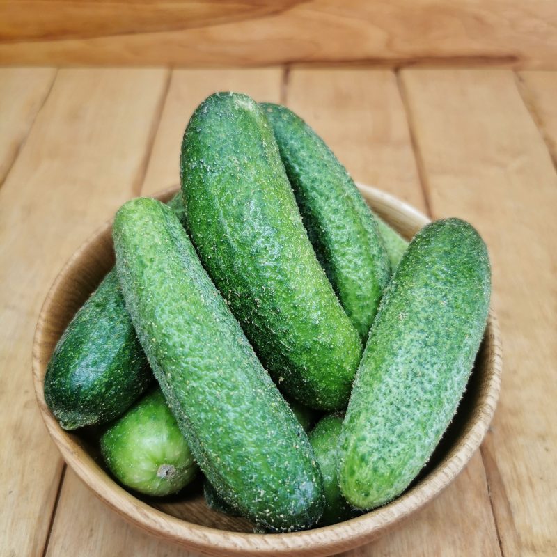 KUMARE ZA VLAGANJE - lokalno