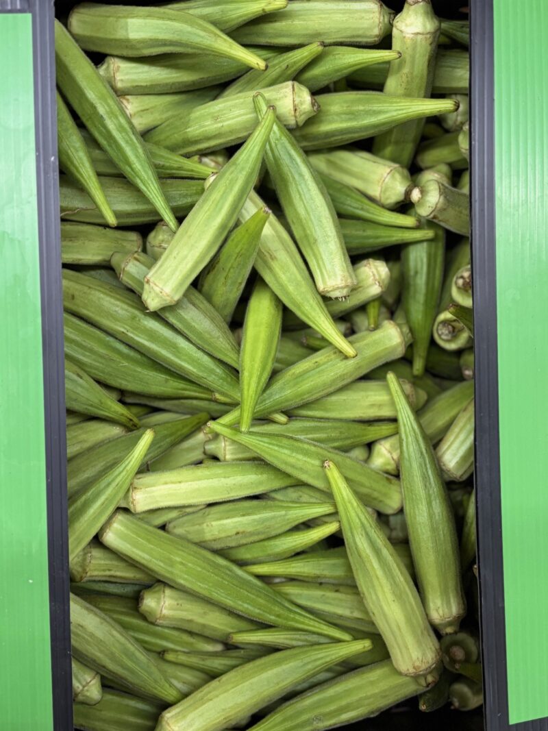 ZELENA OKRA HON.