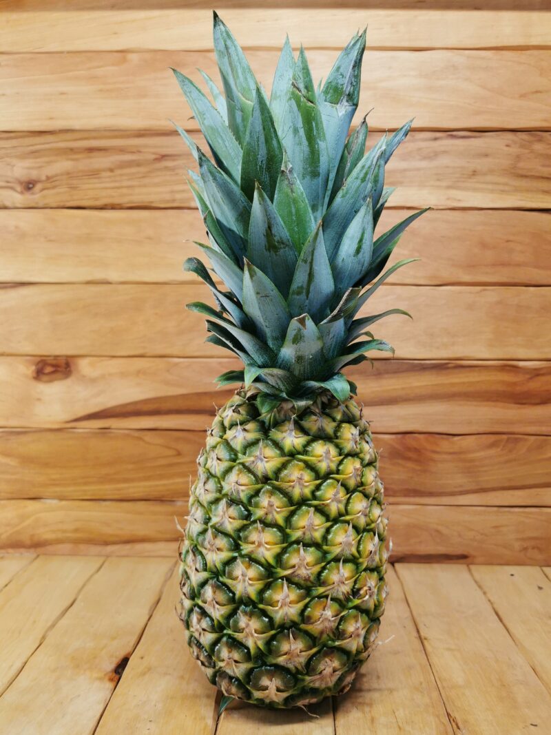 ANANAS HON.